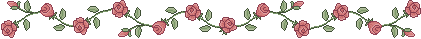 rose divider <---------->
