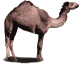 [Topic: Perl] 